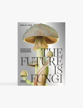 The Future Is Fungi
