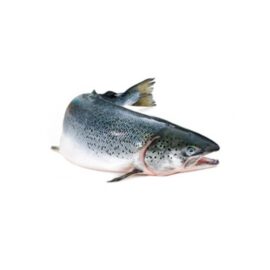 Salmon Whole Norway (M)