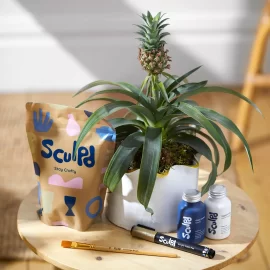 The Pineapple Plant & Sculpd Kit